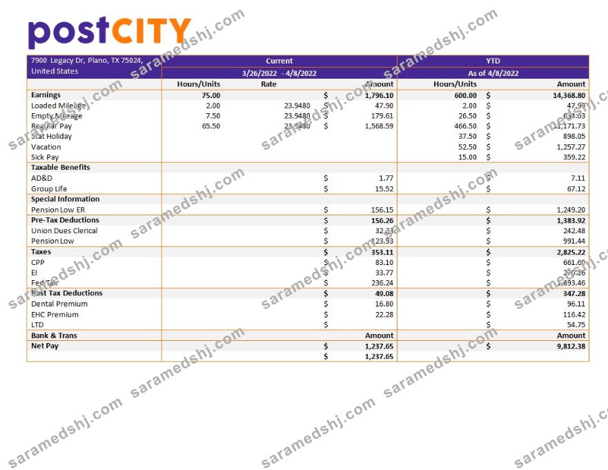 post city company earning statement template in Word and PDf formats